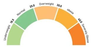 BMI Chart